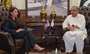 Foolproof security arranged for foreign guests, Naqvi assures US envoy ahead of US‑Iran talks in Islamabad
