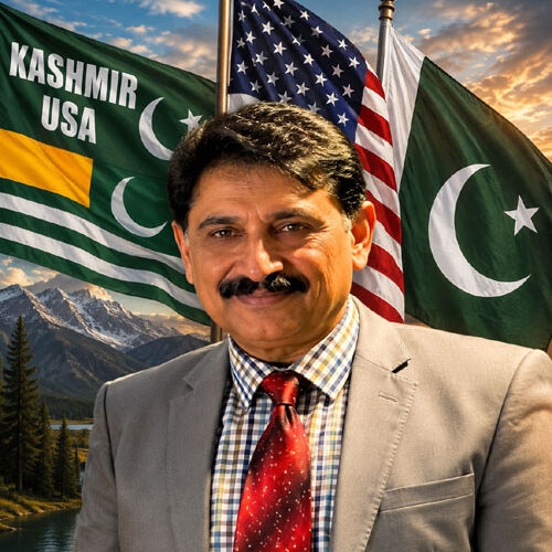 نیویارک میں کشمیر آگاہی مہم، 13 اگست کو ڈیجیٹل ٹرک سڑکوں پر رواں دواں ہوں گے